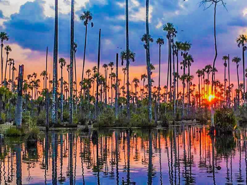 Castana Amazon Park Vandrerhjem Puerto Maldonado Eksteriør bilde