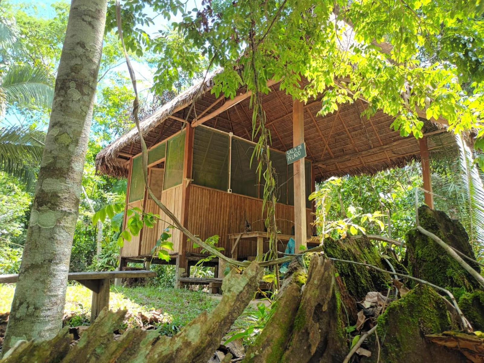 Castana Amazon Park Vandrerhjem Puerto Maldonado Eksteriør bilde