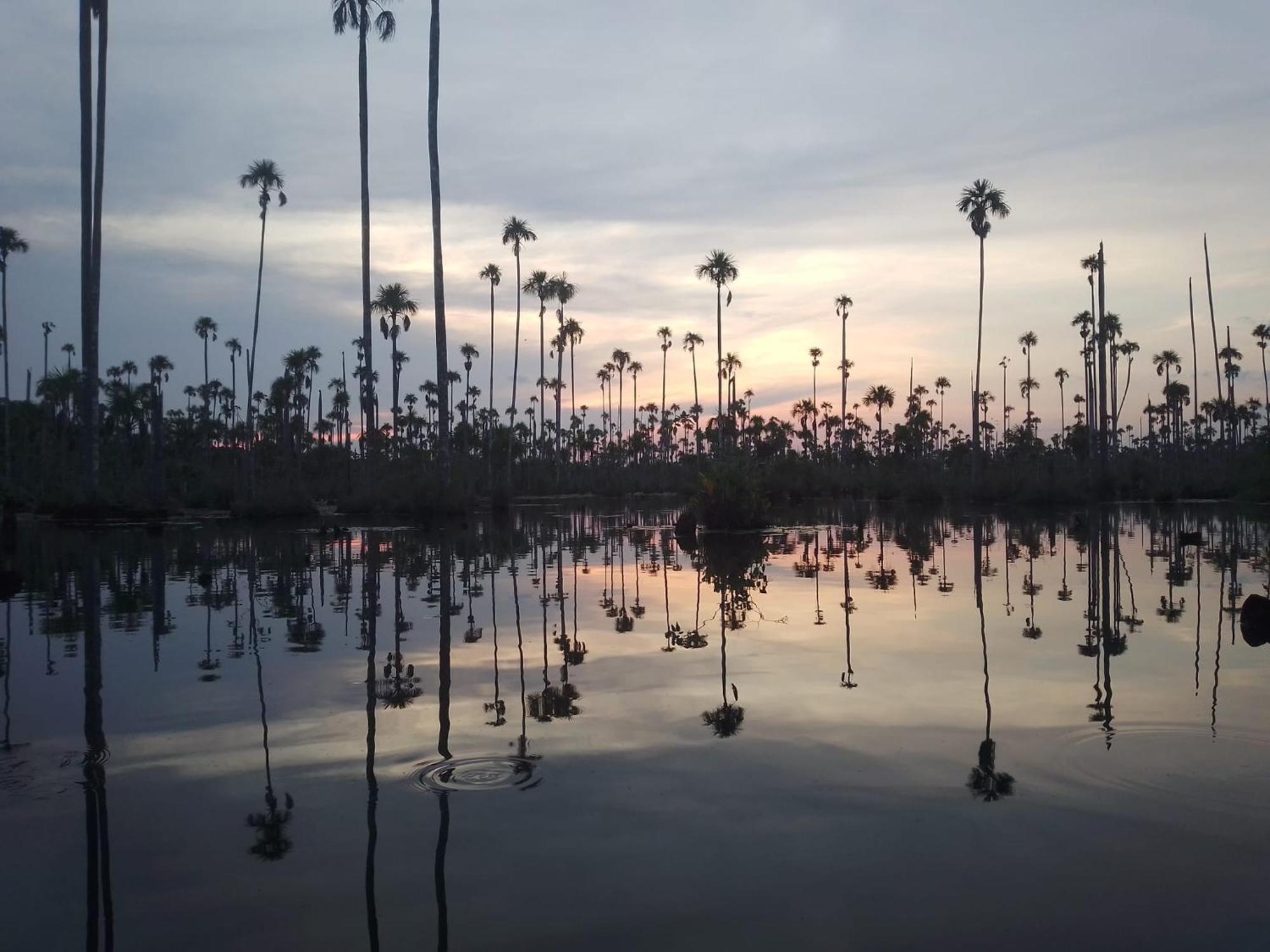 Castana Amazon Park Vandrerhjem Puerto Maldonado Eksteriør bilde