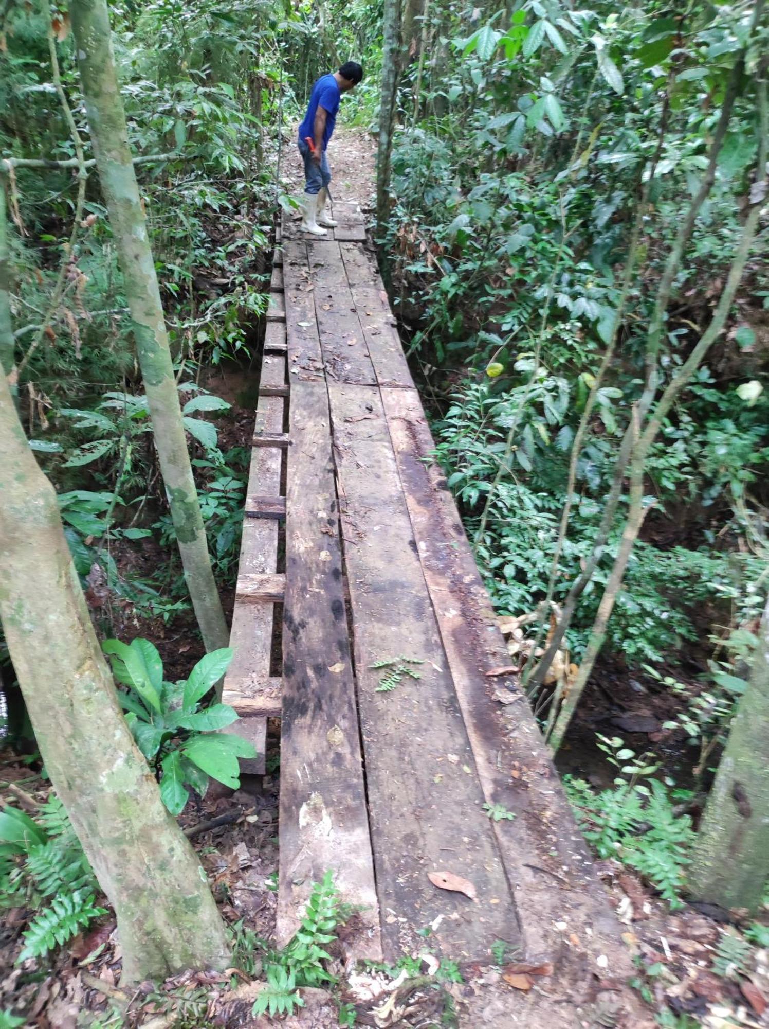 Castana Amazon Park Vandrerhjem Puerto Maldonado Eksteriør bilde